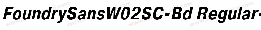 FoundrySansW02SC-Bd Regular字体转换